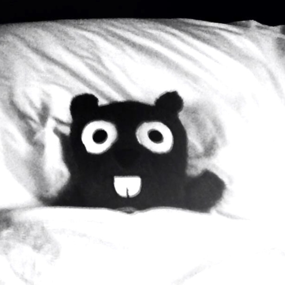 Meet your Posher, Neddy